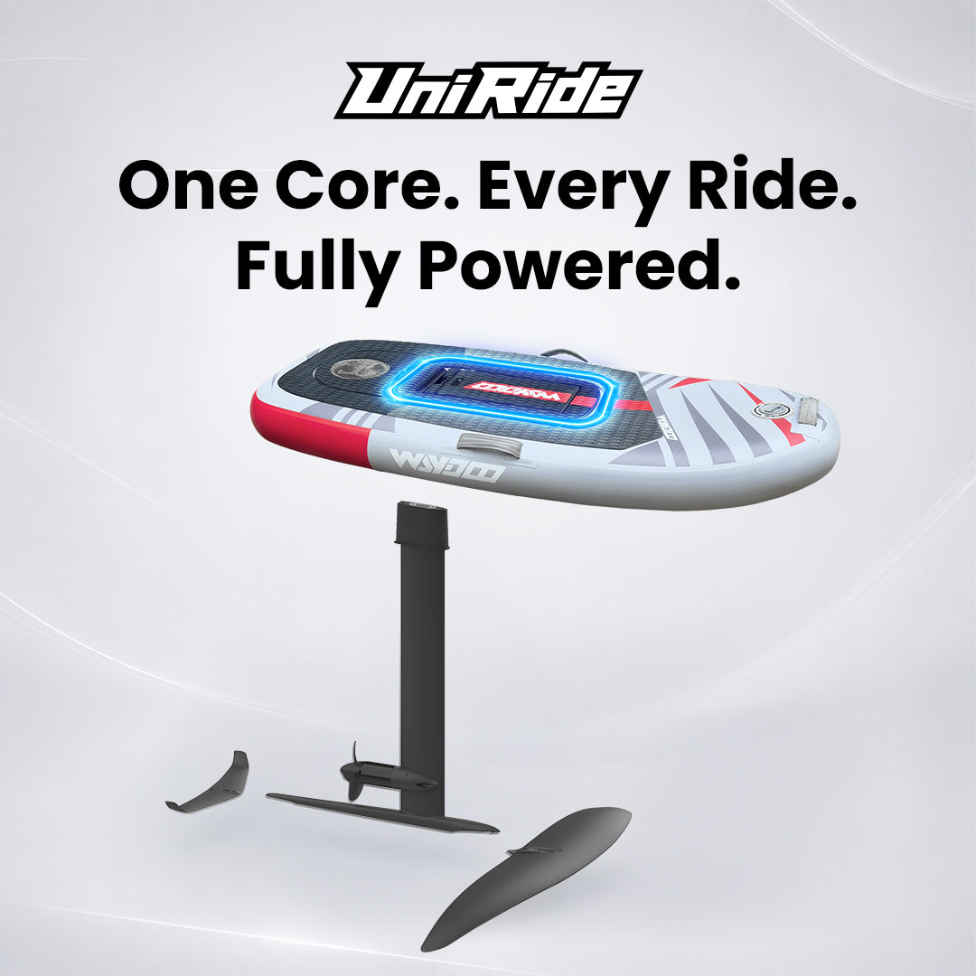 Waydoo UniRide VIP Reservation