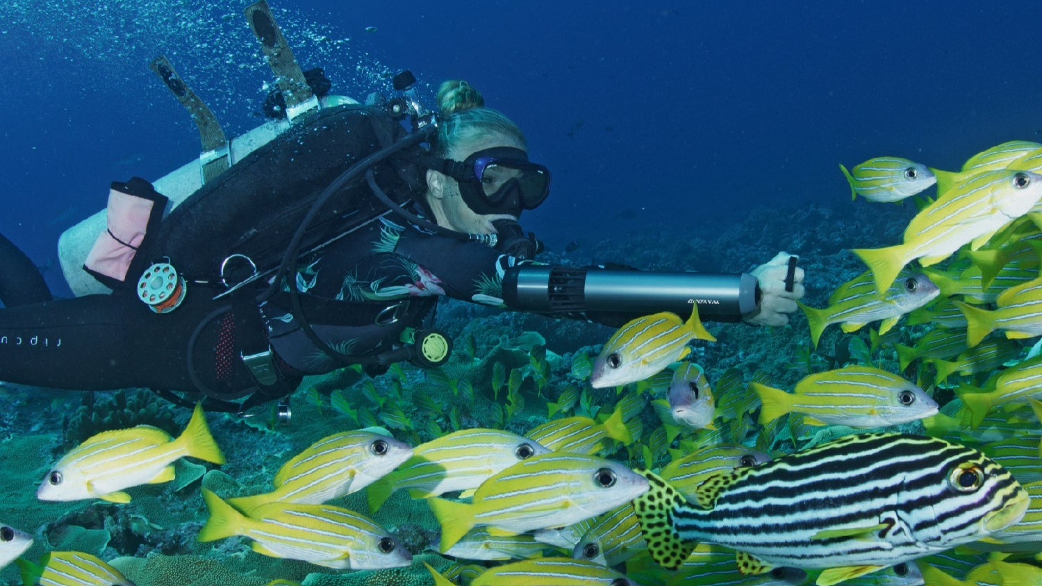 Diver with subnado surrounded by tropical fish in clear blue water.
