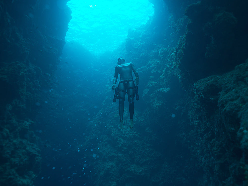 Grow Your Business
With Waydoo