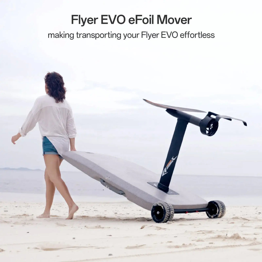 Flyer EVO - Max Plus